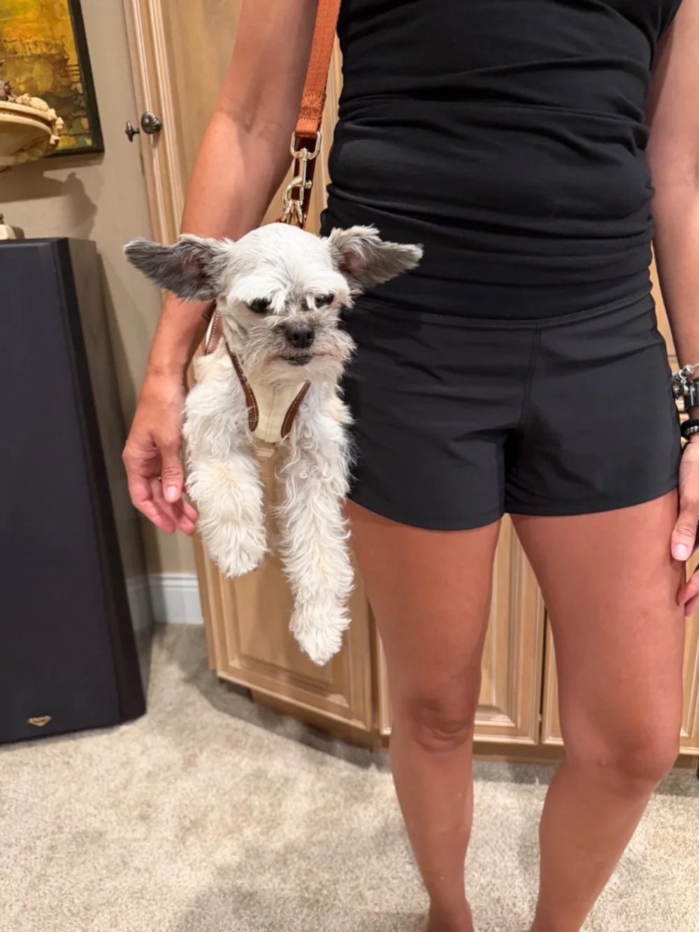 Dog Purse Carrier (Pet not included)
